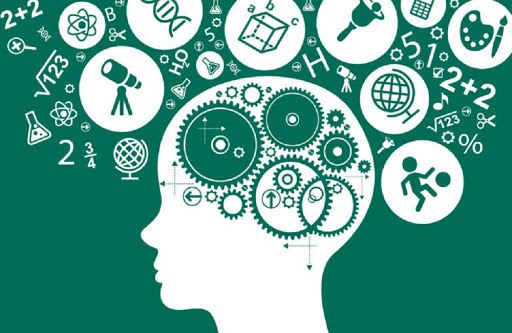 چگونه قلم چی کرج استعدادها را به رتبه برتر تبدیل می‌کند؟ 📖✨