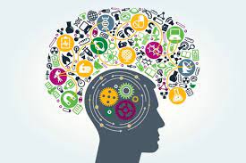 قلم چی کرج: سیستم آموزشی جامع برای موفقیت در تیزهوشان و کنکور